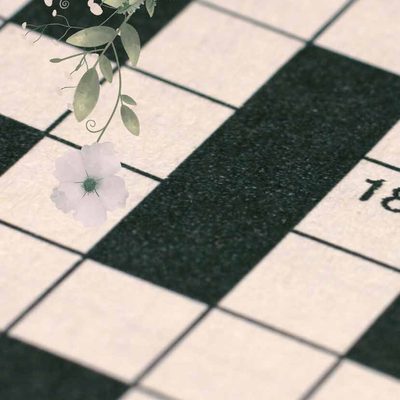 Cruci-Sposi, cruciverba dedicato agli sposi